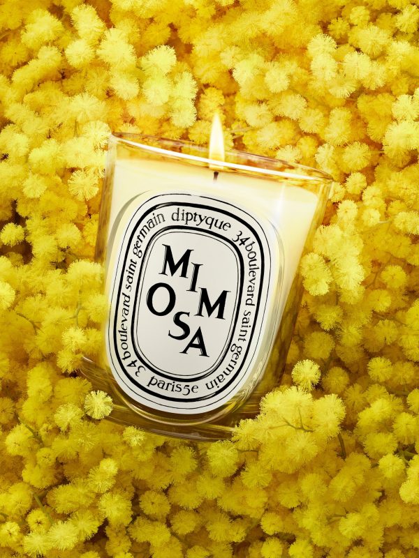 Mimosa - Classic Candle