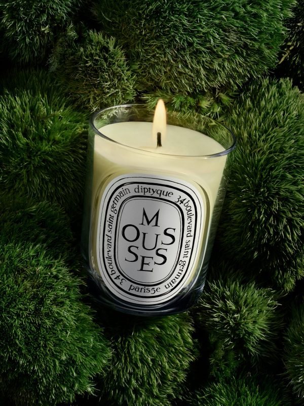 Mousses (Moss) - Classic Candle