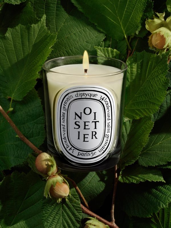 Noisetier (Hazel Tree) - Classic Candle