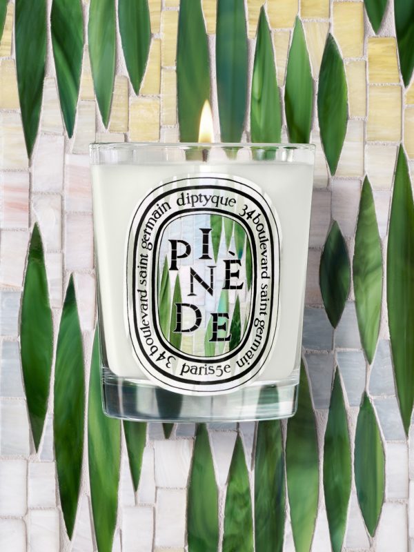 Pinède (Pine Grove) - Classic Candle