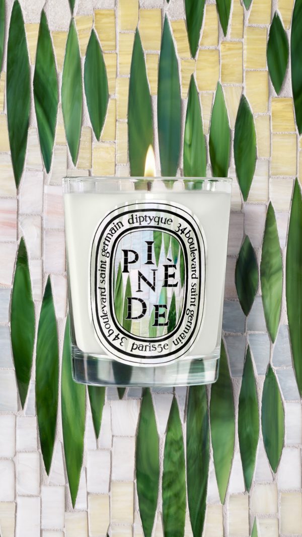 Pinède (Pine Grove) - Classic Candle