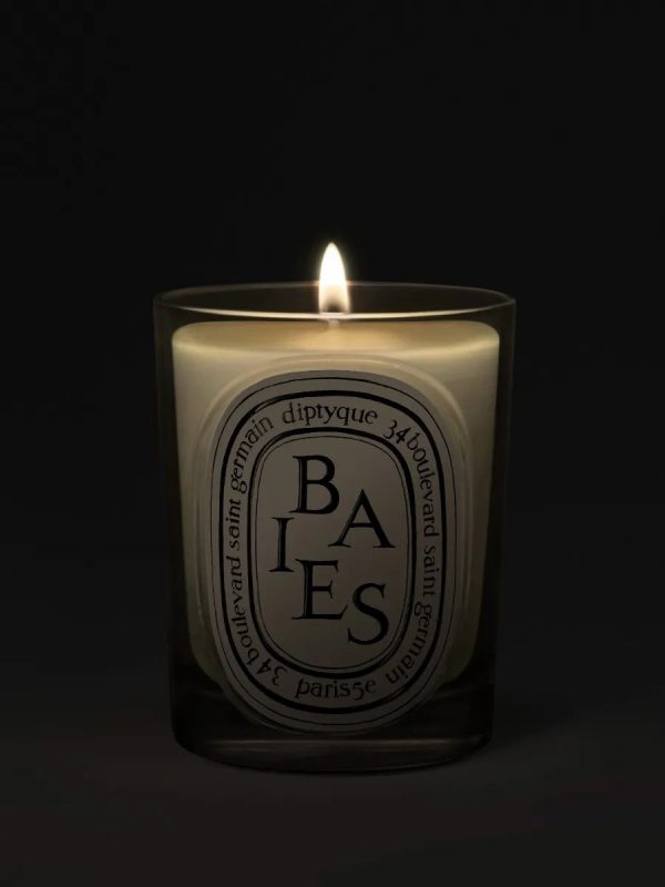 Baies (Berries) - Classic candle