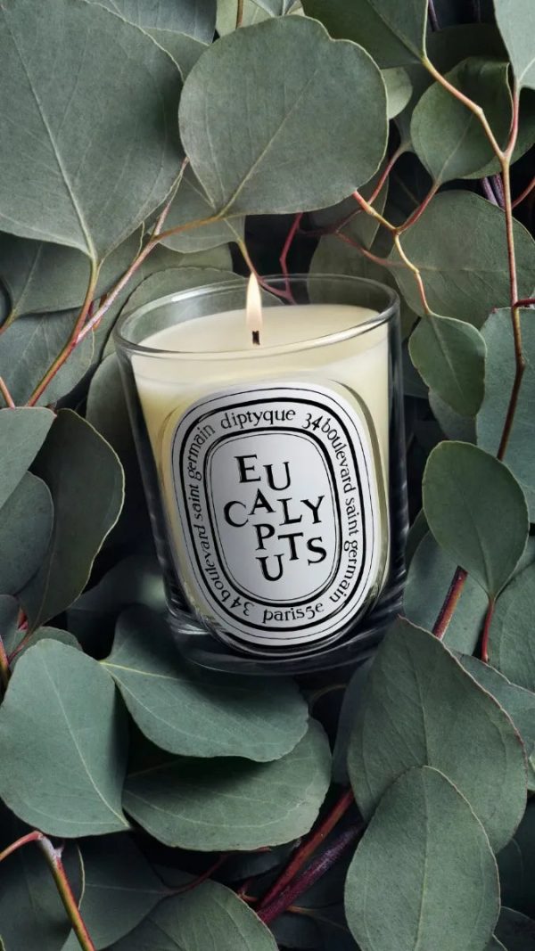 Eucalyptus - Classic Candle