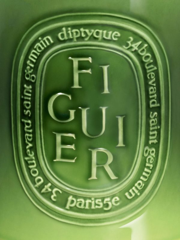Figuier (Fig Tree) - Very Large Candle