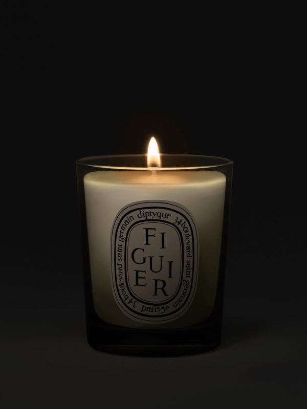Figuier (Fig Tree) - Small Candle