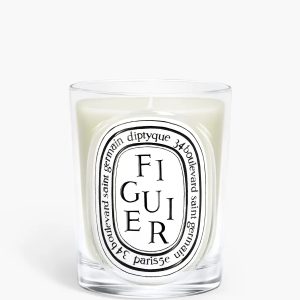 Figuier (Fig Tree) - Classic Candle