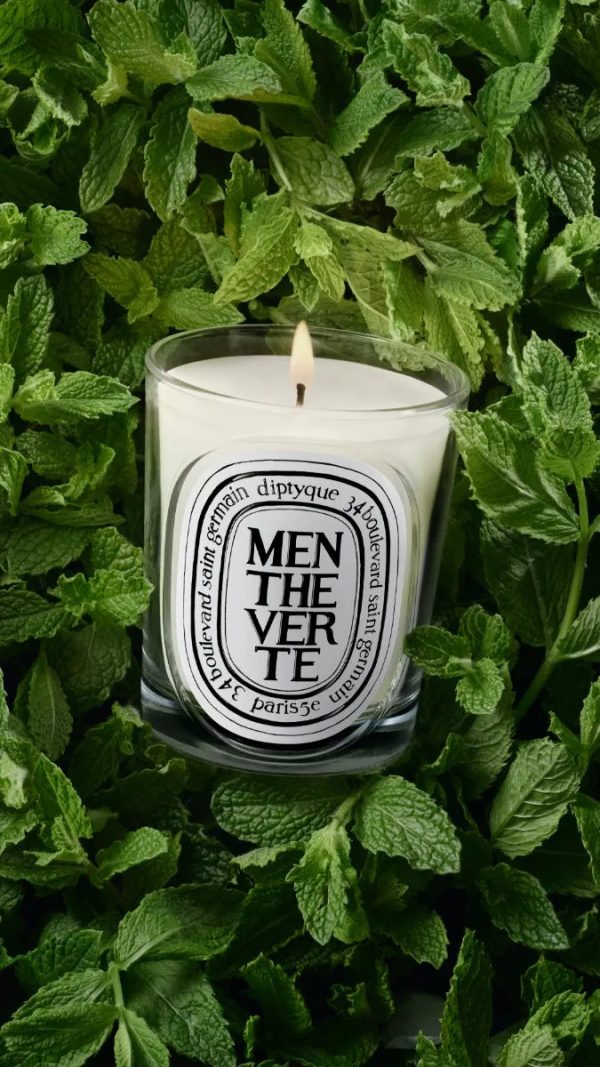 Menthe Verte (Spearmint) - Classic Candle