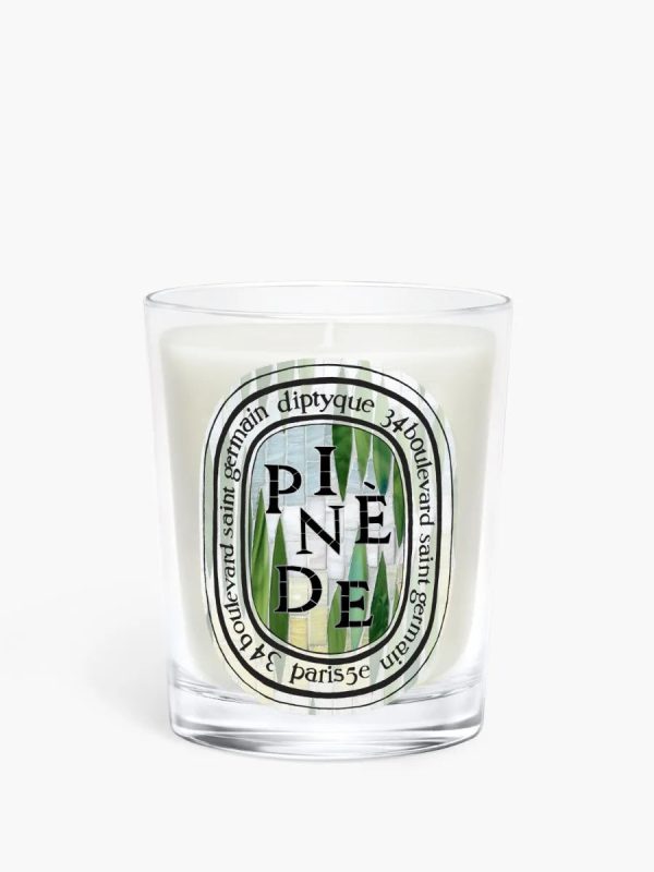 Pinède (Pine Grove) - Classic Candle