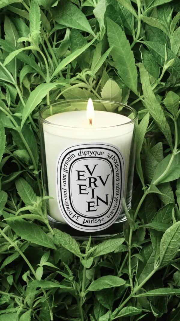Verveine (Lemon Verbena Scented) - Small Candle