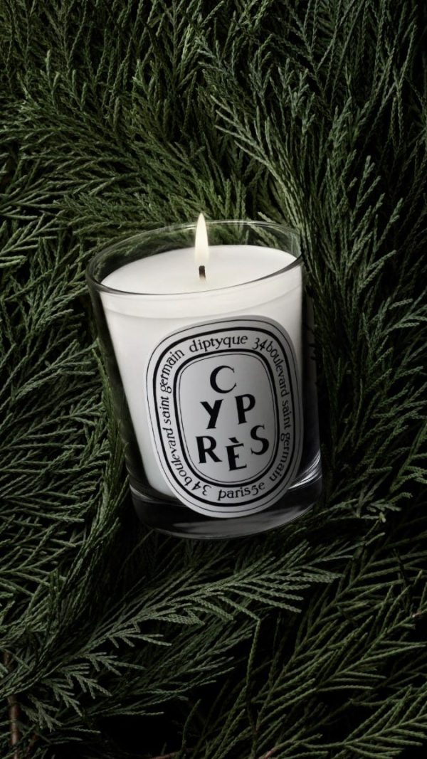 Cyprès (Cypress) - Small Candle